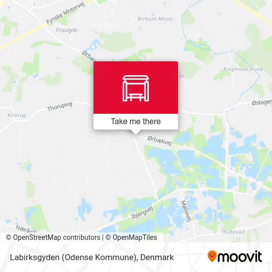 Labirksgyden (Odense Kommune) map