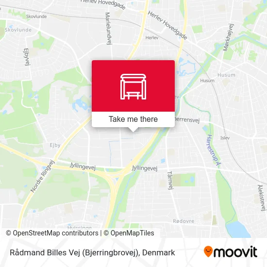 Rådmand Billes Vej (Bjerringbrovej) map