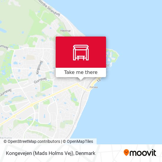 Kongevejen (Mads Holms Vej) map