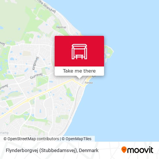 Flynderborgvej (Stubbedamsvej) map