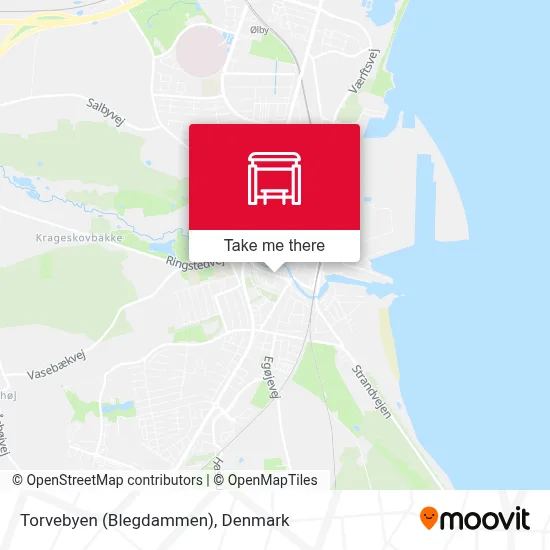 Torvebyen (Blegdammen) map