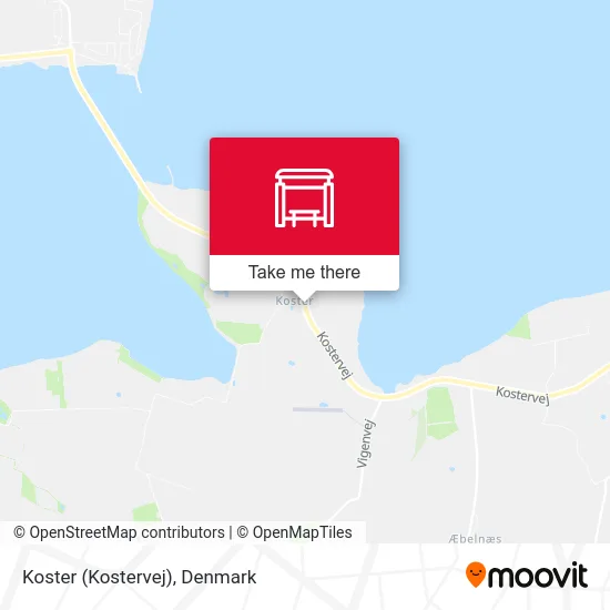 Koster (Kostervej) map