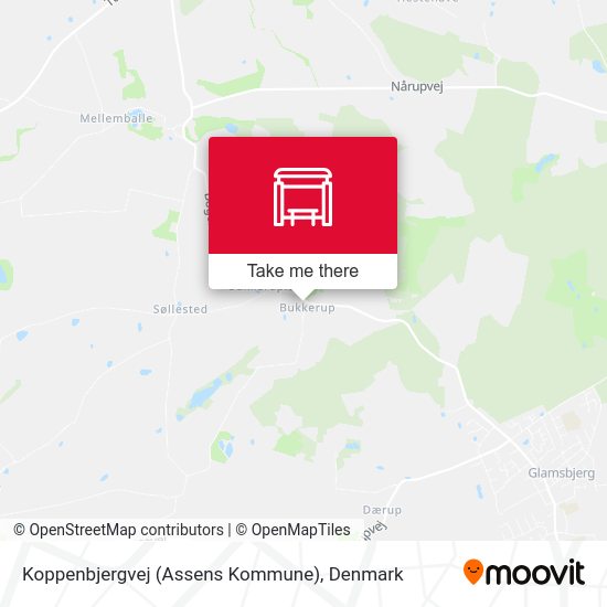 Koppenbjergvej (Assens Kommune) map