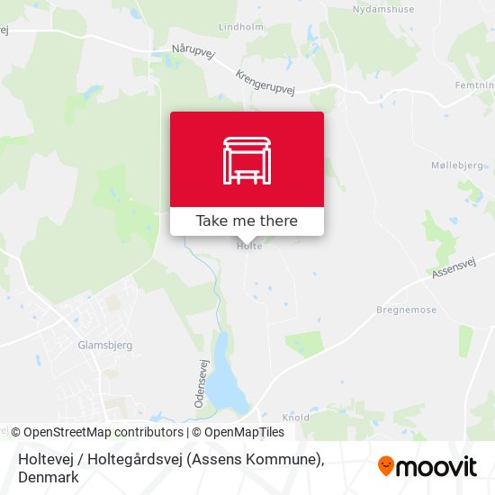 Holtevej / Holtegårdsvej (Assens Kommune) map