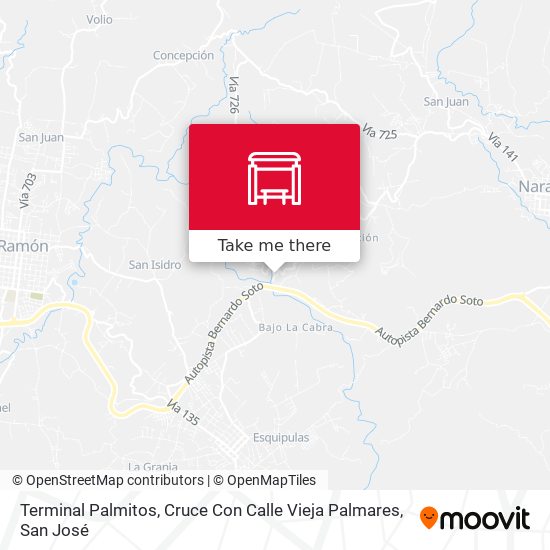 Terminal Palmitos, Cruce Con Calle Vieja Palmares map