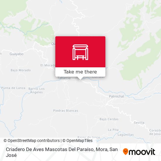 Mapa de Criadero De Aves Mascotas Del Paraíso, Mora