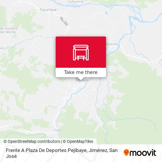 Frente A Plaza De Deportes Pejibaye, Jiménez map