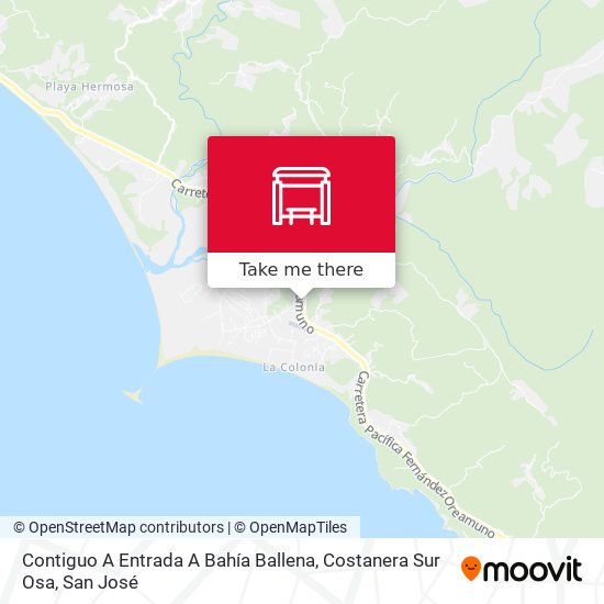 Contiguo A Entrada A Bahía Ballena, Costanera Sur Osa map