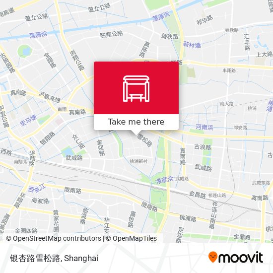 银杏路雪松路 map