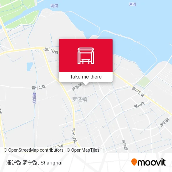 潘沪路罗宁路 map