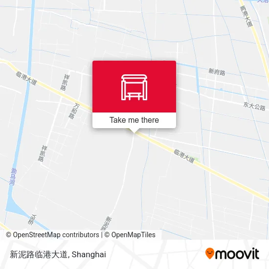 新泥路临港大道 map