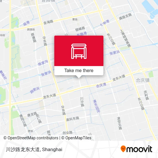 川沙路龙东大道 map