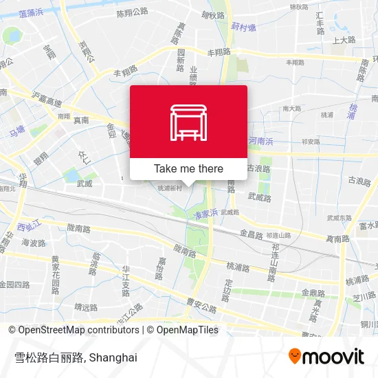 雪松路白丽路 map