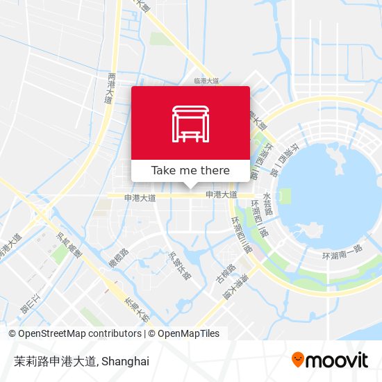 茉莉路申港大道 map