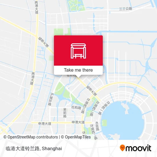 临港大道铃兰路 map