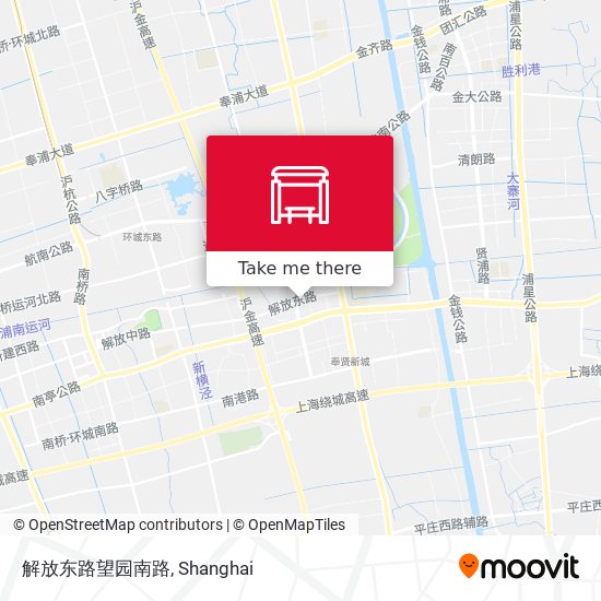 解放东路望园南路 map