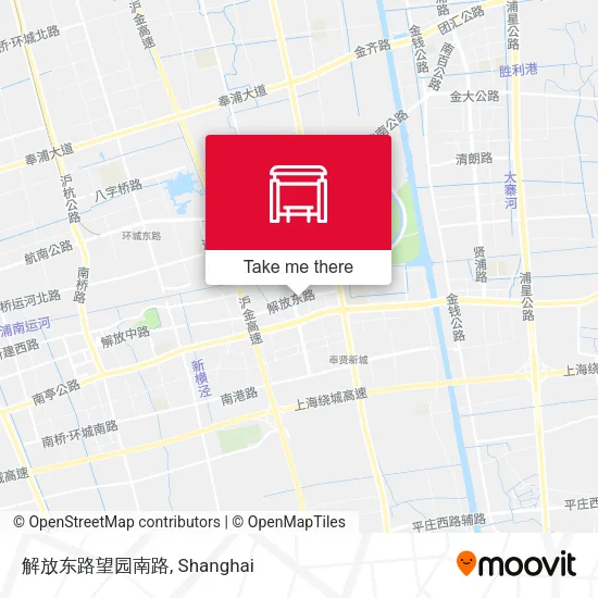 解放东路望园南路 map