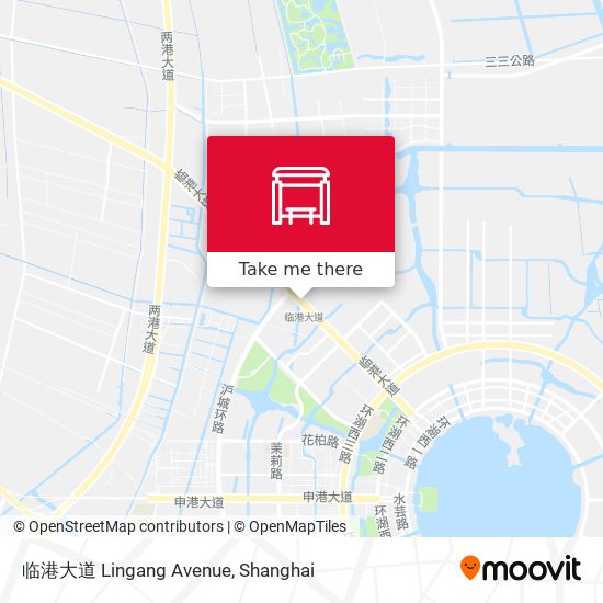 临港大道 Lingang Avenue map