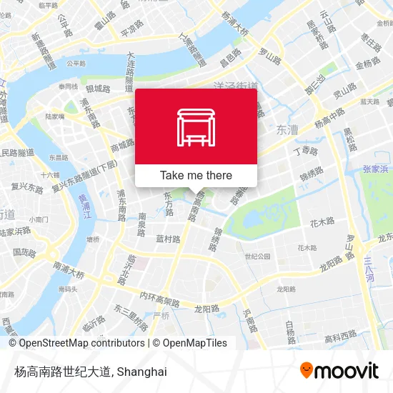 杨高南路世纪大道 map