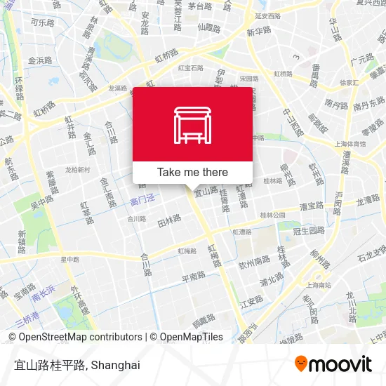 宜山路桂平路 map