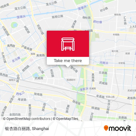 银杏路白丽路 map