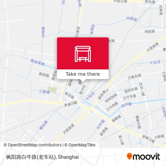 枫阳路白牛路(老车站) map