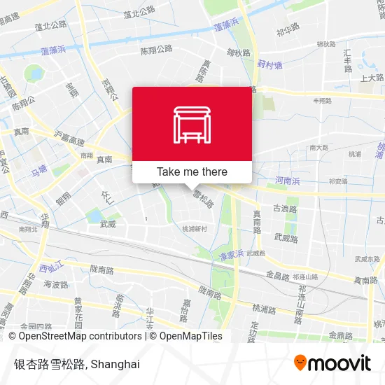 银杏路雪松路 map