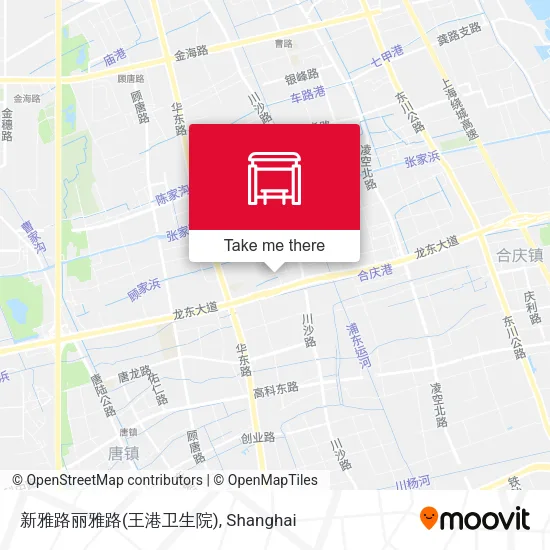 新雅路丽雅路(王港卫生院) map