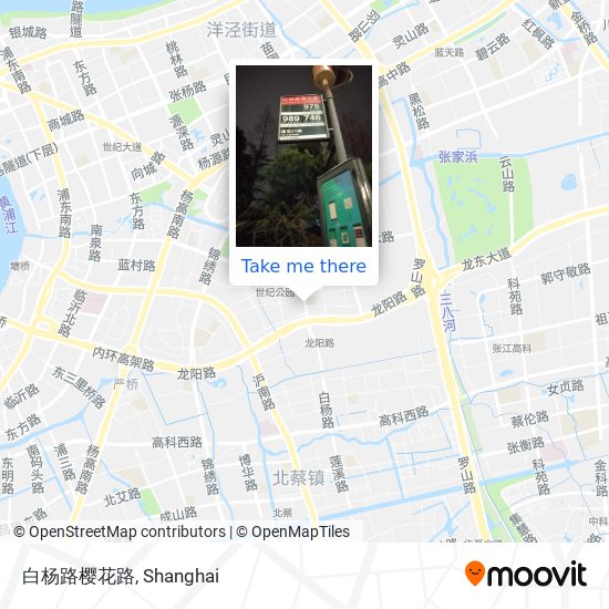 白杨路樱花路 map