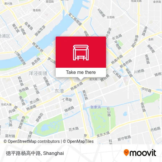 德平路杨高中路 map