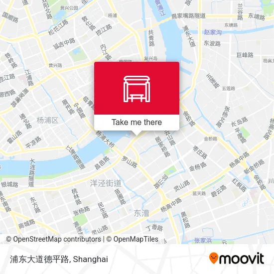 浦东大道德平路 map