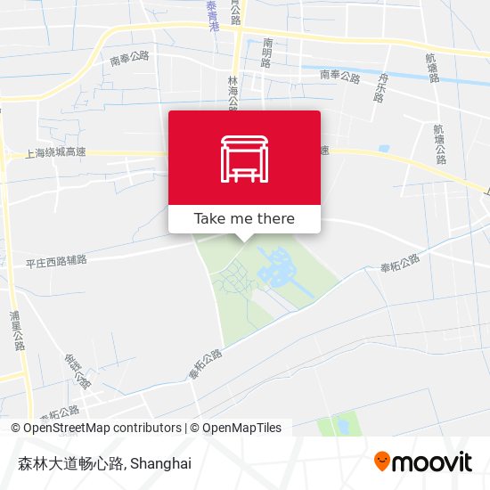 森林大道畅心路 map