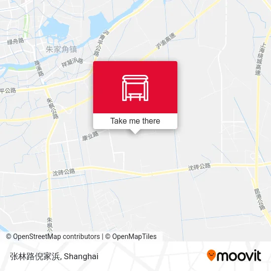张林路倪家浜 map
