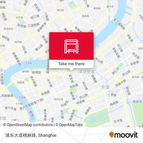 浦东大道桃林路 map