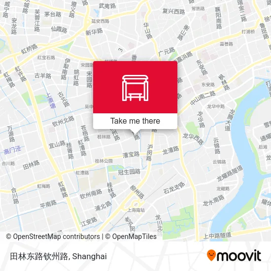 田林东路钦州路 map