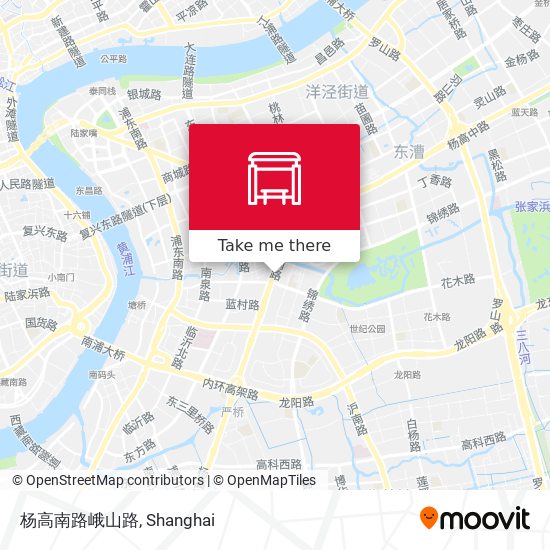 杨高南路峨山路 map
