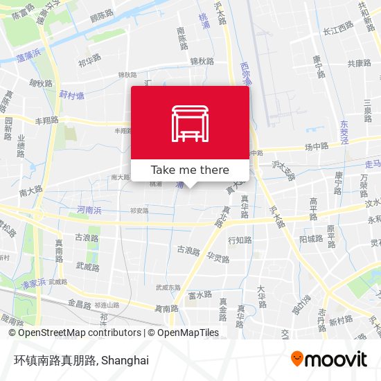 环镇南路真朋路 map