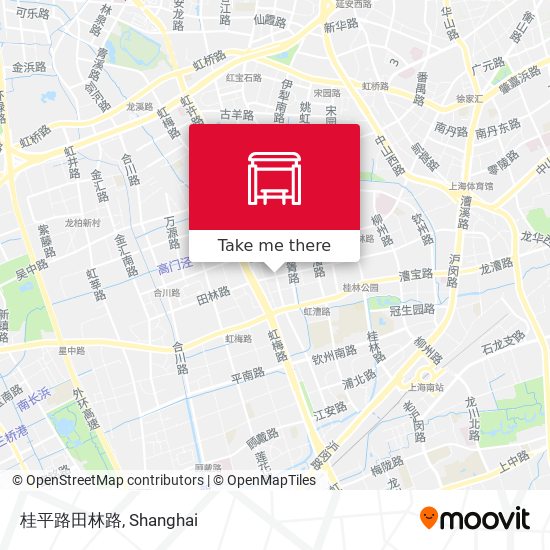 桂平路田林路 map