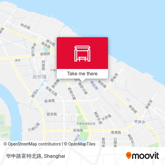 华申路富特北路 map
