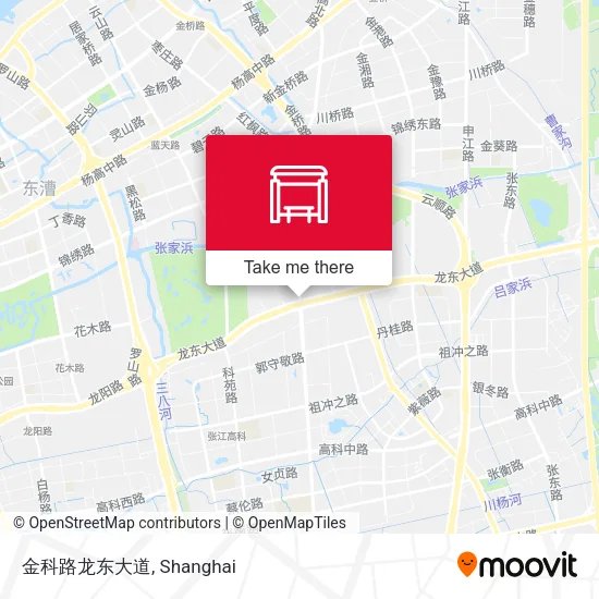 金科路龙东大道 map