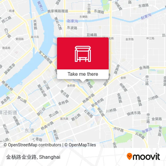 金杨路金业路 map