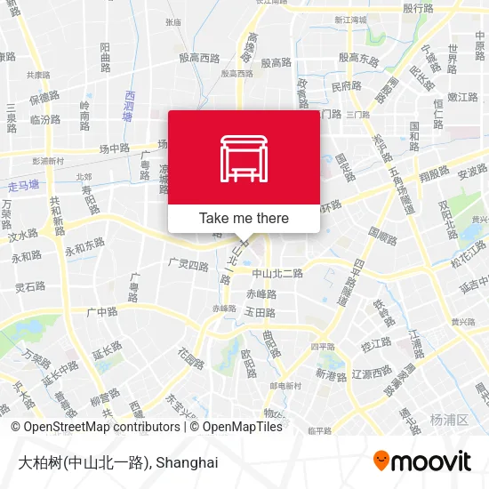 大柏树(中山北一路) map