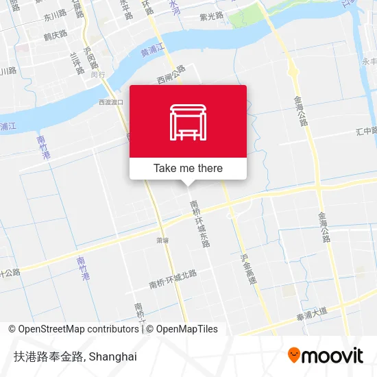 扶港路奉金路 map