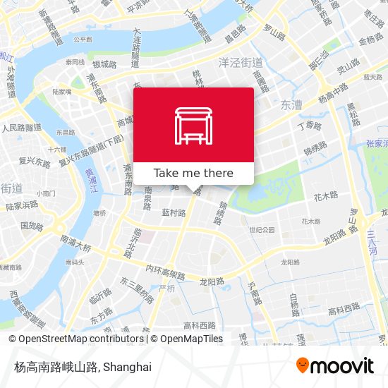 杨高南路峨山路 map