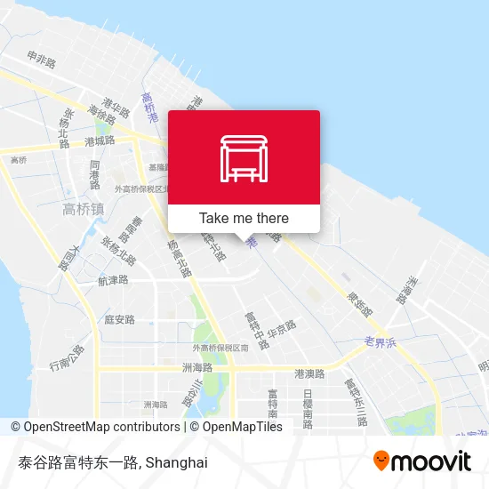 泰谷路富特东一路 map