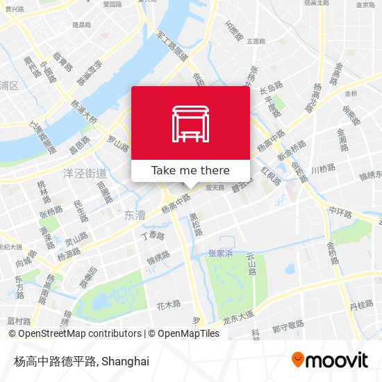 杨高中路德平路 map