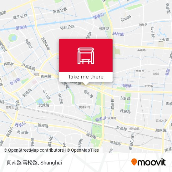 真南路雪松路 map