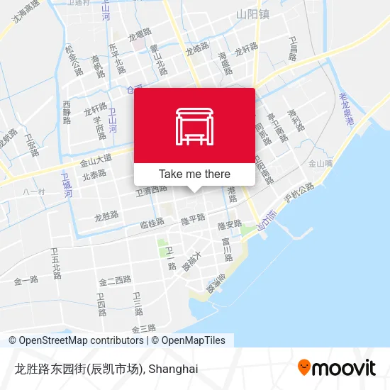 龙胜路东园街(辰凯市场) map