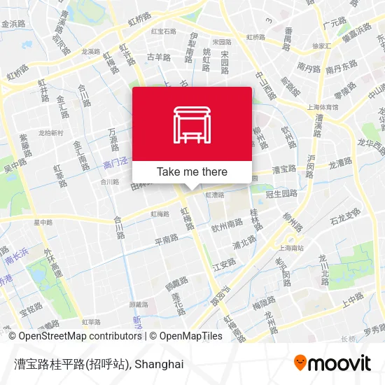 漕宝路桂平路(招呼站) map