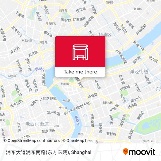 浦东大道浦东南路(东方医院) map